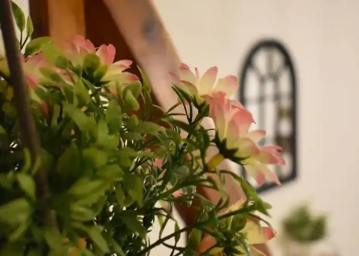 Joli Proche Du Centre-ville Poitiers